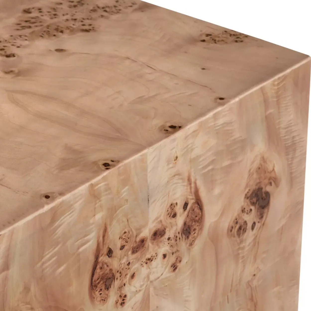 Anissa Burl Wood Coffee Table