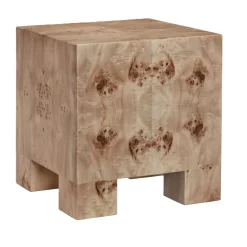 Anissa Burl Wood End Table