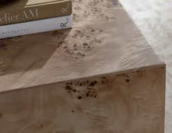 Anissa Burl Wood End Table