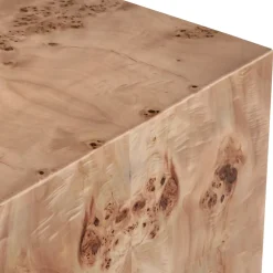 Anissa Burl Wood End Table