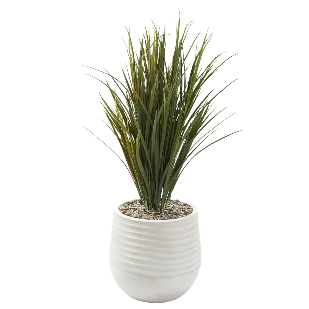 Areca Grass Arrangement