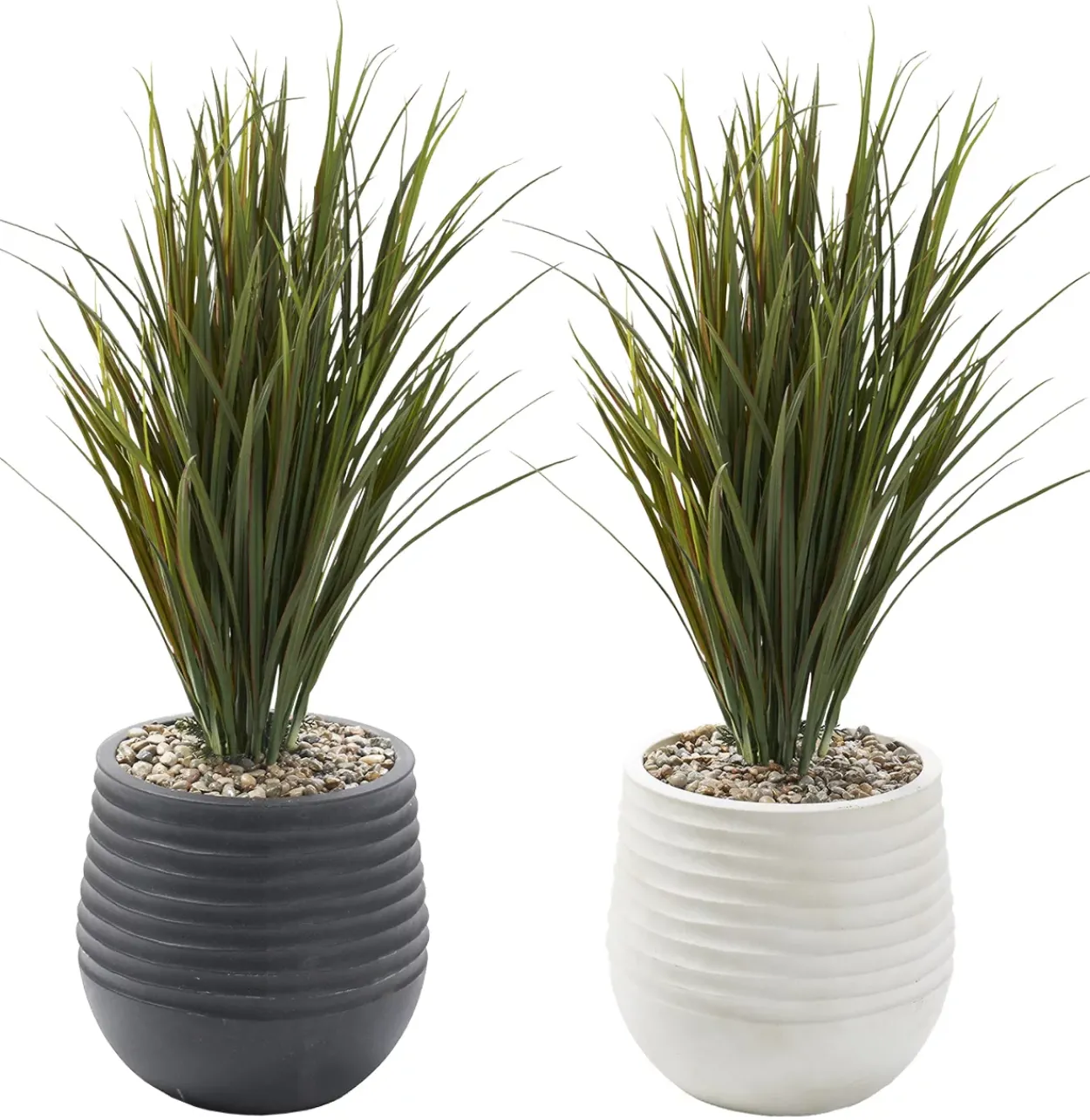 Areca Grass Arrangement