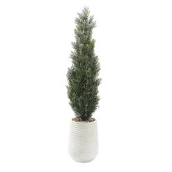 Cedar Tree