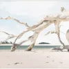 Driftwood Sands Wall Decor