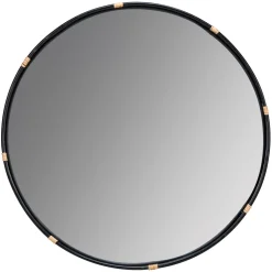 Ervin Mirror