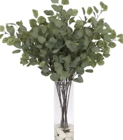 Eucalyptus II Floral
