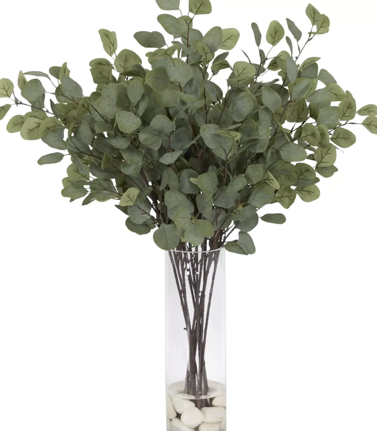 Eucalyptus II Floral