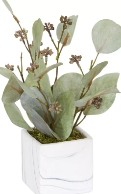 Eucalyptus V Floral