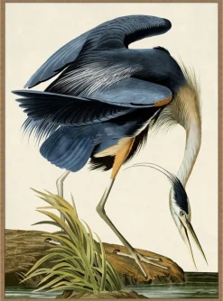 Grand Blue Heron Framed Art