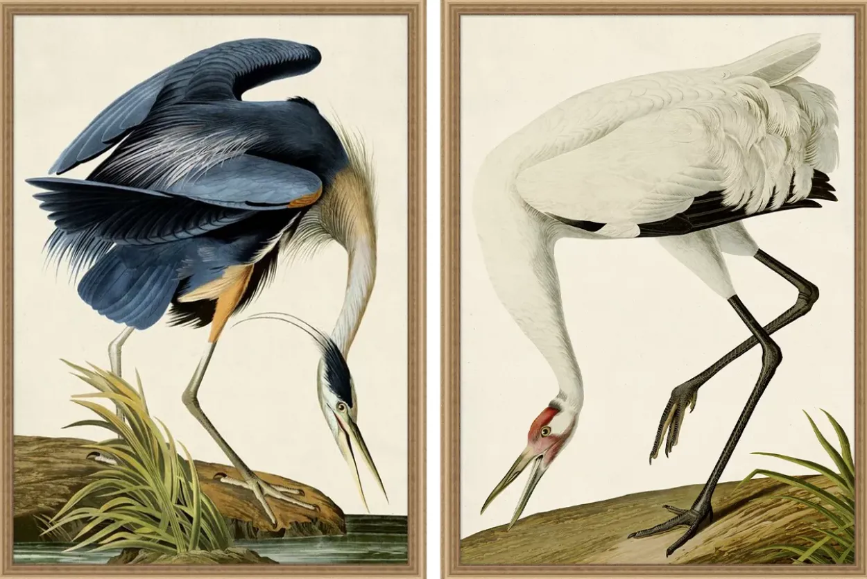 Grand Blue Heron Framed Art