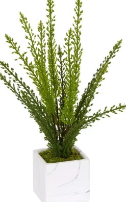 Heather Fern II Floral