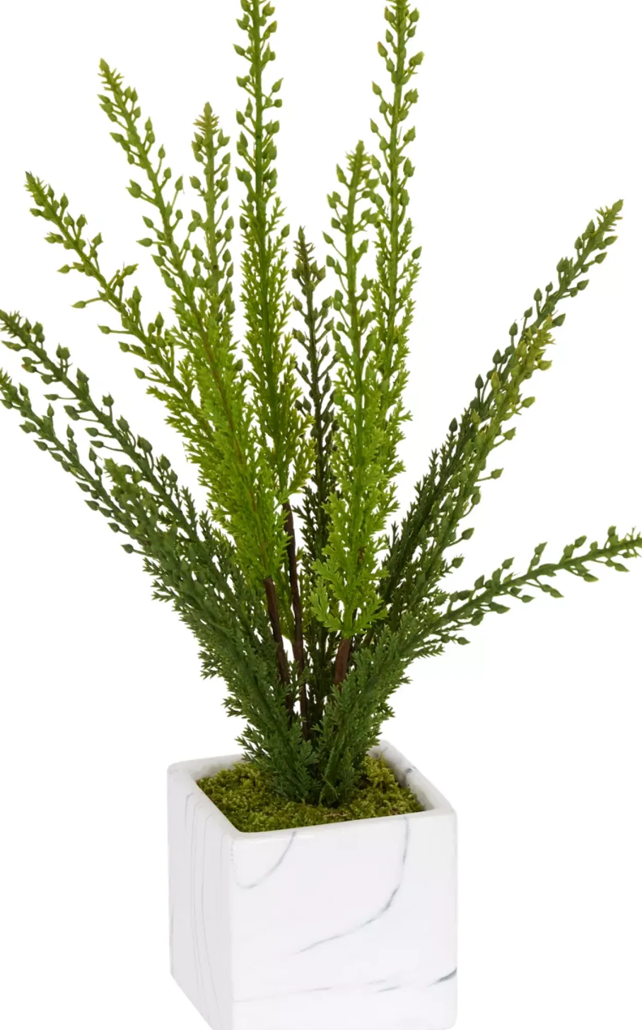 Heather Fern II Floral