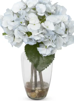 Hydrangea Floral