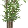 Italian Ruscus Greenery