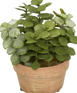 Jade Floral