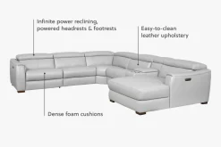 Leo Sectional