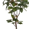 Magnolia Tree