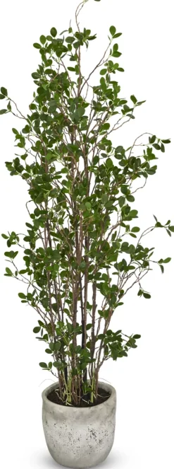 Mini Leaf Tree