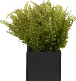 Mixed Fern Floral
