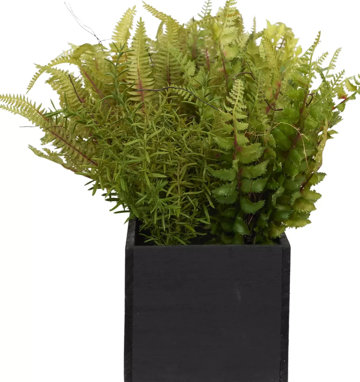 Mixed Fern Floral