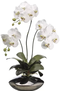 Moth Orchid Floral in Metallic Bowl