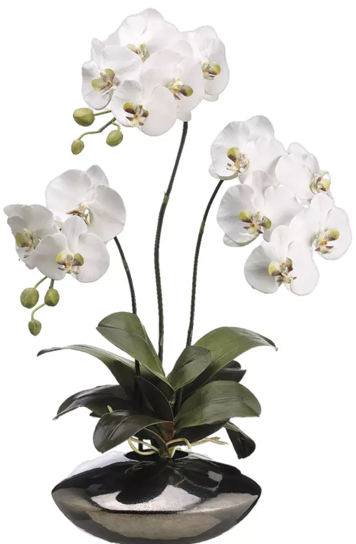 Moth Orchid Floral in Metallic Bowl