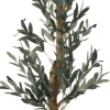 Olive II Tree