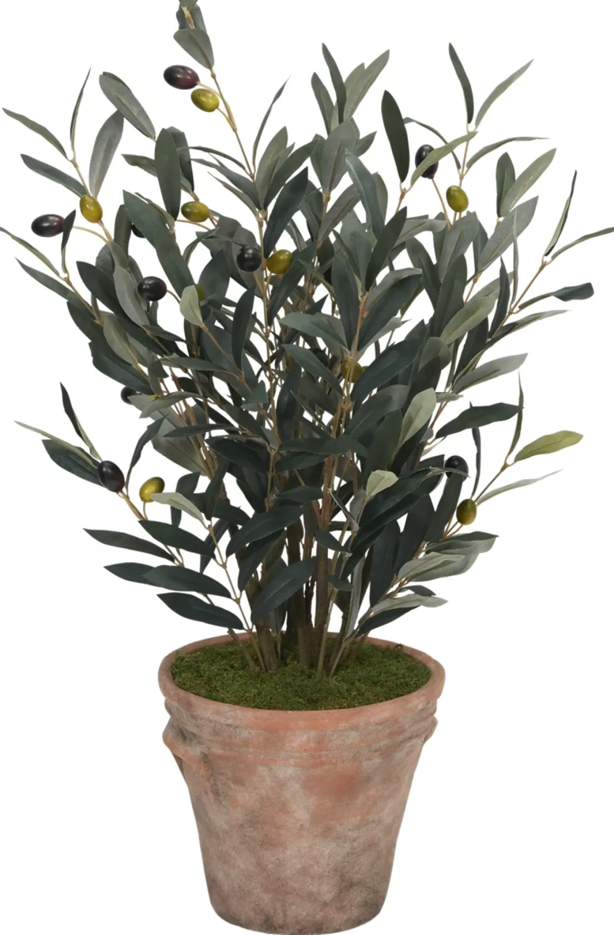 Olive Spray II Greenery