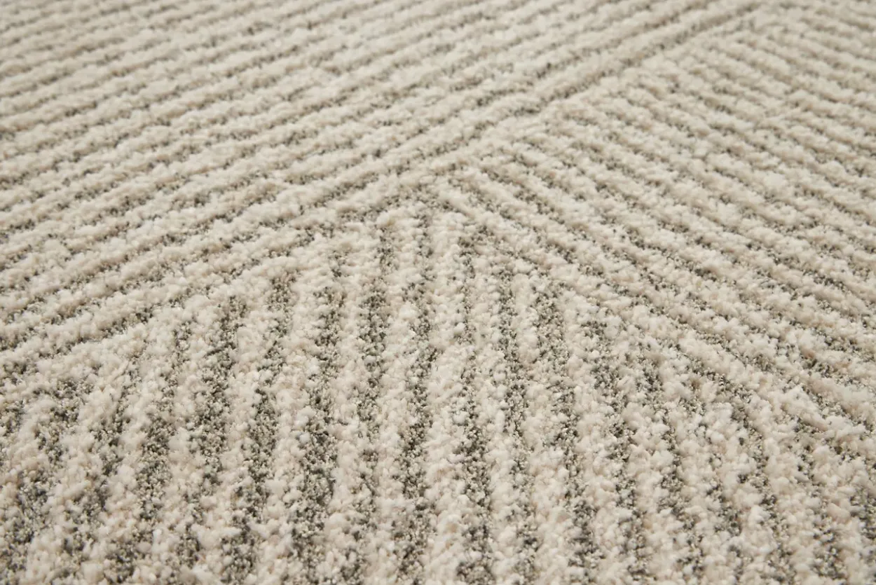 Paxton Rug