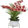 Phalaenopsis II Floral