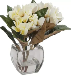 Plumeria Floral