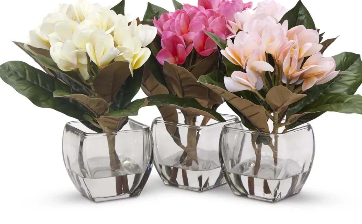 Plumeria Floral