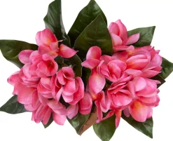 Plumeria Floral