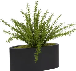 Rosemary Spray Floral