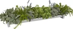 Sage Lavender Arrangement