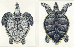 Sea Turtle Framed Art