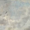 Skyview Wall Art