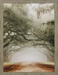 Southern Nostalgia Framed Art