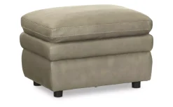 Stanley Ottoman
