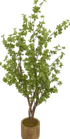 Star Tree