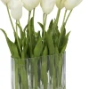 Tulip Floral