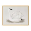 Vintage Swan Wall Art